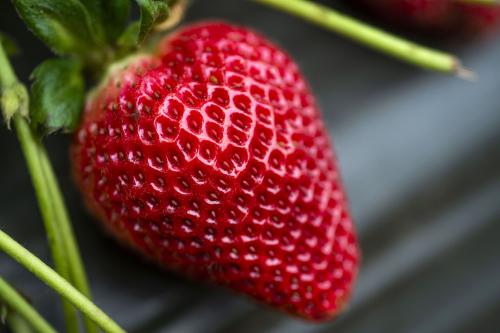 royal royce strawberry