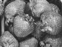 strawberries